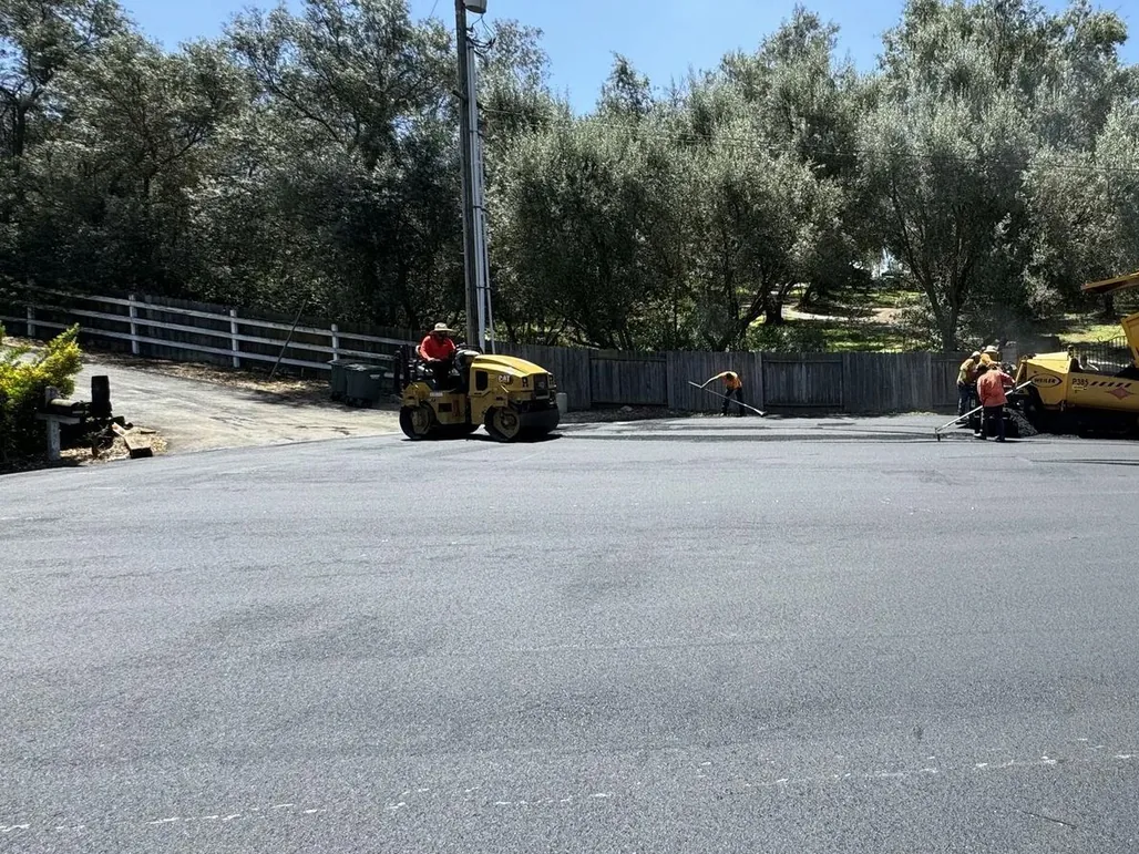 Roller and paving machine laying new asphalt beside a row of olive trees, asphalt driveway paving