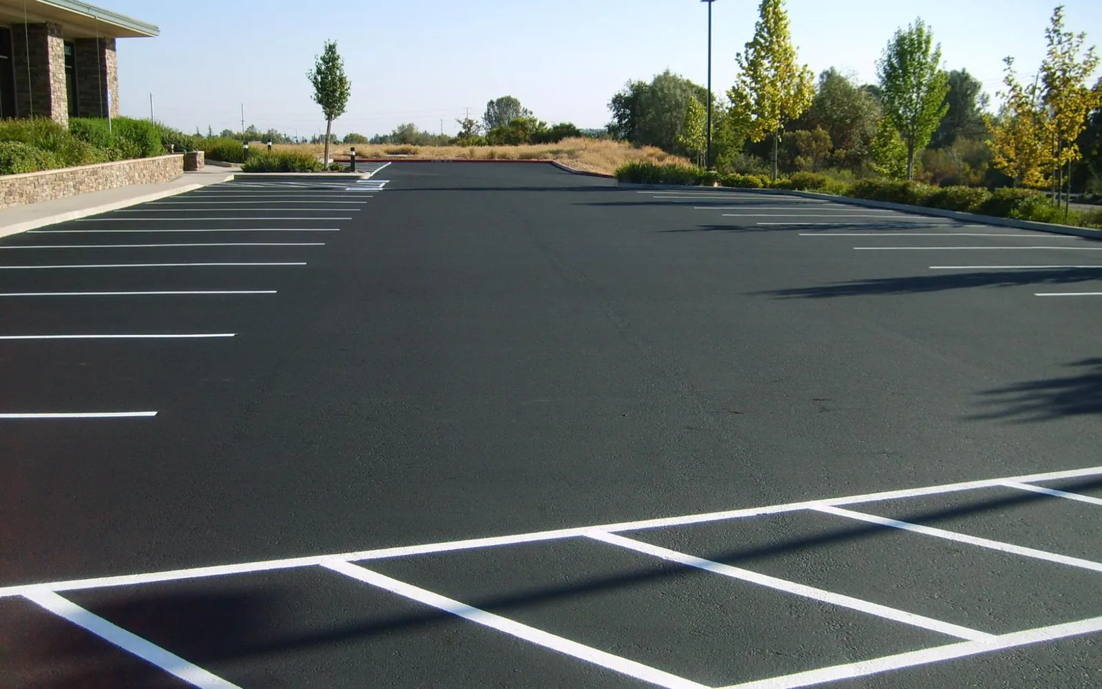 A freshly paved and striped office parking lot with dry grass beyond, commercial paving